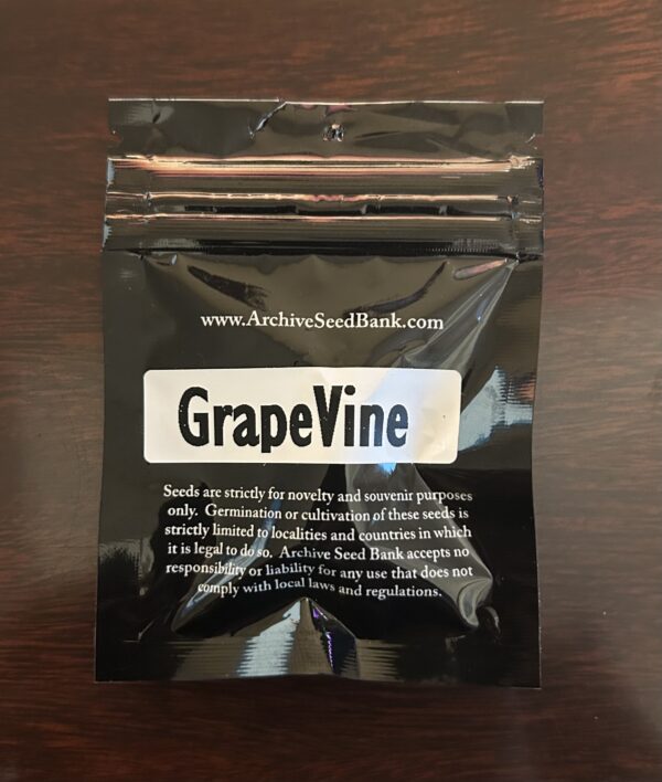 Grape Vine