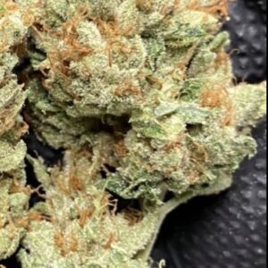 Hollywood Pure Kush x Gas Cap 11