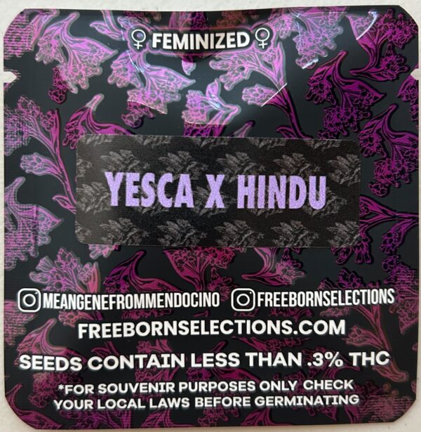 Yesca x Hindu