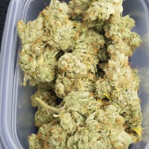 Black Lime Reserve 10 x Headband