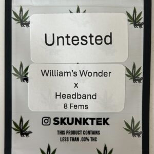William's Wonder x  Headband