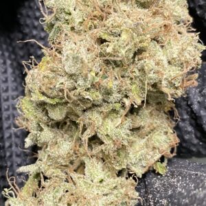Four Way x 707 Headband