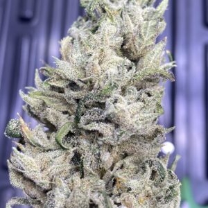 SourHinduHeadband