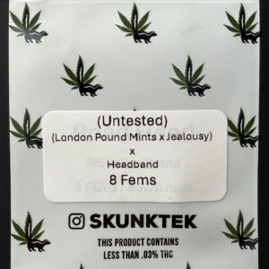 (London Pound Mints x Jealousy) x Headband