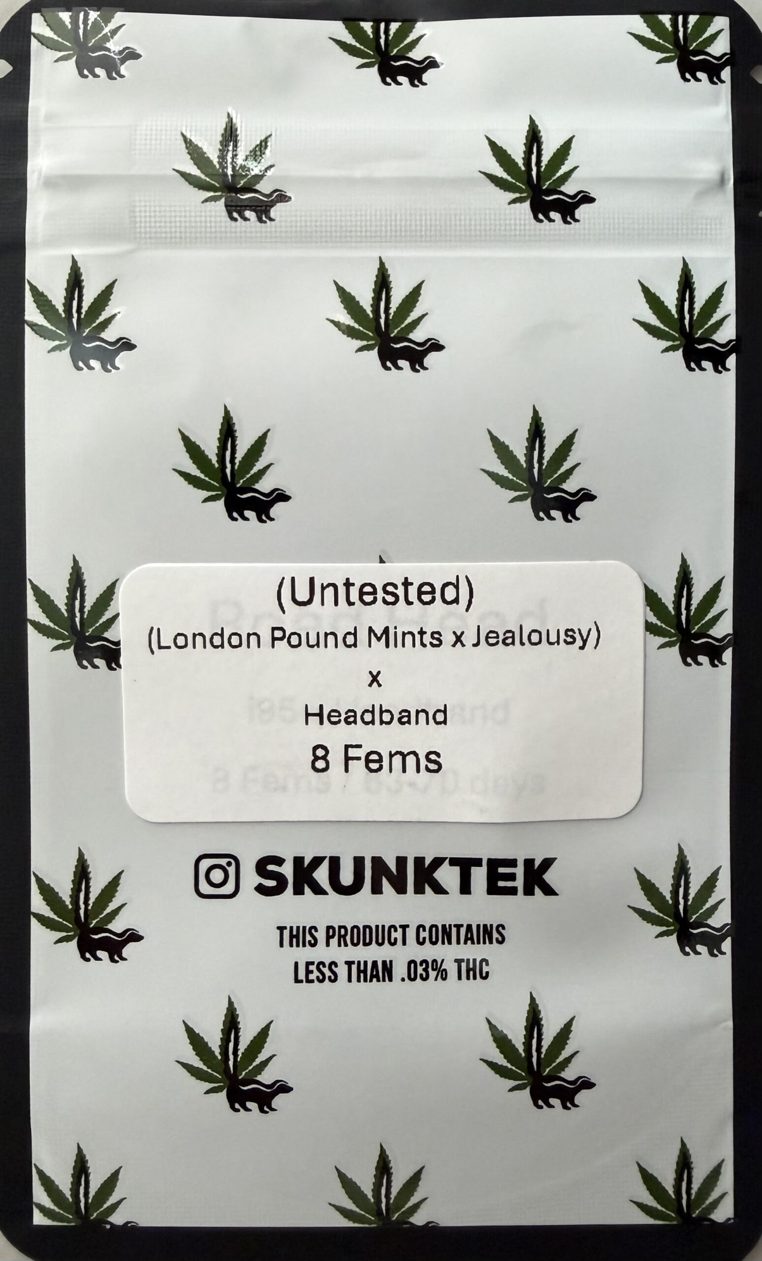(London Pound Mints x Jealousy) x Headband