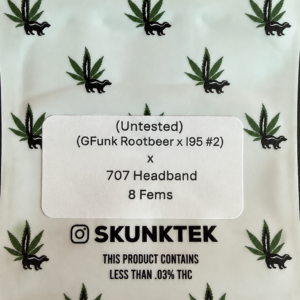 (GFunk Rootbeer x I95 #2) x 707 Headband