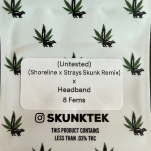 (Shoreline x Strays Skunk Remix) x Headband