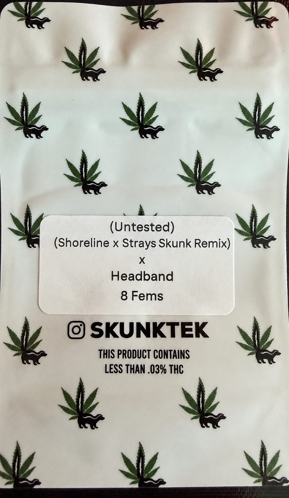 (Shoreline x Strays Skunk Remix) x Headband