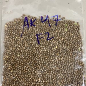 AK47 F2 (Regs)