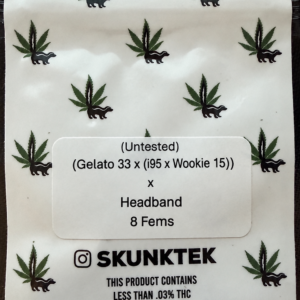 (Gelato 33 x (i95 x Wookie 15)) x Headband