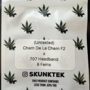 Chem De La Chem F2 x Headband