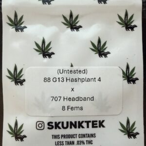 88 G13 Hashplant 4 x Headband